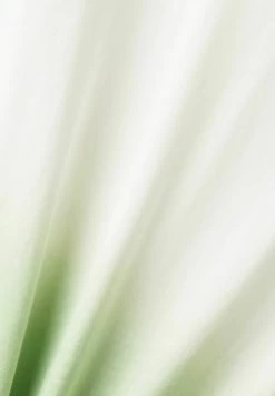 Edc By Esprit T-Shirt Print - Green -Edc By Esprit f91efef961db43dd943ab190192b417c